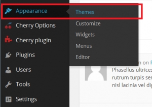 WordPress_How_to_install_a_theme_via_admin_panel_1