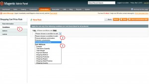 magento_how_to_manage_shopping_cart_price_rules3