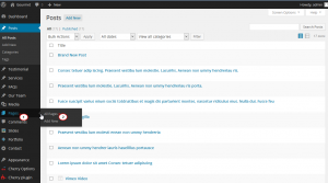 WordPress-How_to_work_with_dashboard_screen_options-6