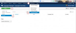 Joomla 3.x. How to change read more button titles-2