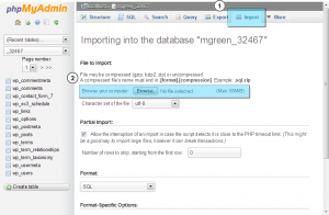 phpMyAdmin_How_to_import_sample_data_dump_file_via_phpMyAdmin_tool_3