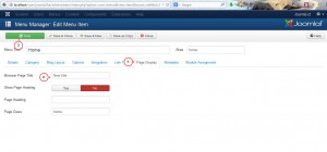 Joomla 3.x. How to change browser page title-2