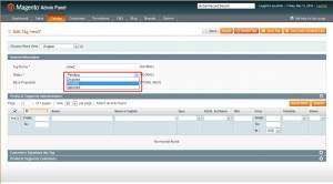 Magento._how_to_add_and_manage_product_tags5