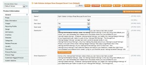 magento_new_and_sale_attributes_adding_8