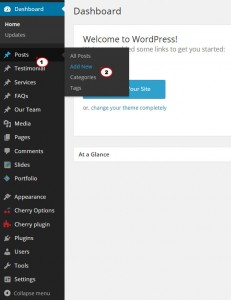 WordPress.-How-to-use-blog-posts-formats-1