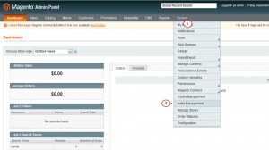 magento_how_to-re-index_data_and_in_what_cases_it_is_needed_1