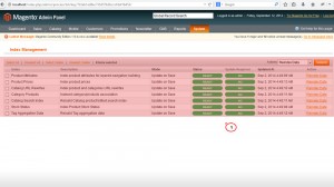 magento_how_to-re-index_data_and_in_what_cases_it_is_needed_2