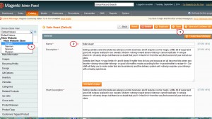 magento_how_to_translate_text_which_is_not_affected_by_translate_inline_tool-4