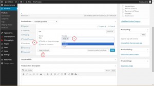 WooCommerce.How-to-manage-attributes--8