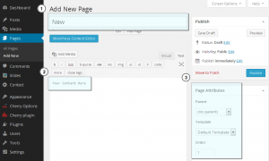 WordPress_How_to_edit_header_page_based_menus_when_theme_does_not_natively_support_menus_2
