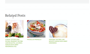Wordpress_How_to_manage_related_posts-1