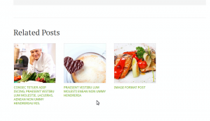 Wordpress_How_to_manage_related_posts-4