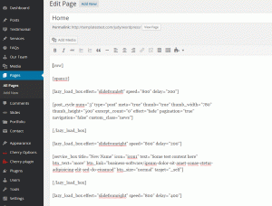 WP_how_to_edit_home_page_1