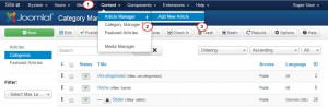 Joomla.-How-to-manage-slider-in-multilingual-site-3