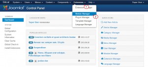 Joomla.-How-to-manage-slider-in-multilingual-site-5