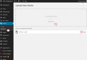 WordPress. How to manage background video (based on Cherry options)-1