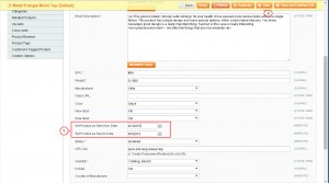 Magento_How_to_set_product_as_new2