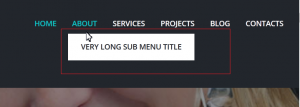 how_to_manage_submenu_css_styles_3