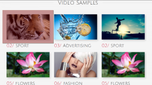js_animated_how_to_manage_video_samples_3