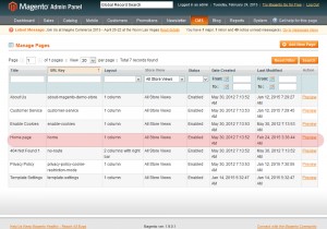 magento_new_products_3
