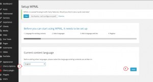wordpress - How to configure multilanguage using WPML plugin-2