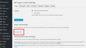 How to remove WP Super Cache Plugin cache2