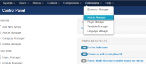 Joomla_3.x._How_to_get_rid_of_Olark_chat_feature