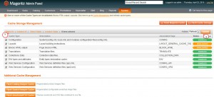 Magento_How_to_manage_Olark_Live_Chat_extension_8