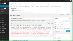 WordPress.-How-to-Disable-the-Full-Height-Post-Editor