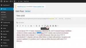 wordpress_how_to_create_a_link_in_post_page_and_make_it_open_in_a_new_tab-2