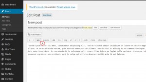 wordpress_how_to_create_a_link_in_post_page_and_make_it_open_in_a_new_tab-3
