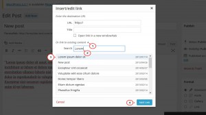 wordpress_how_to_create_a_link_in_post_page_and_make_it_open_in_a_new_tab-5