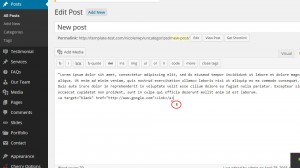 wordpress_how_to_create_a_link_in_post_page_and_make_it_open_in_a_new_tab-6
