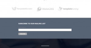 Landing Page. How to integrate MailChimp to newsletter form-9