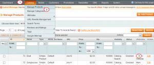 Magento_How_to_set_special_price_for_products_1