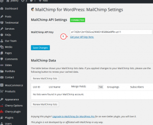 WordPress.-How-to-set-us-MailChimp-for-WordPress-Lite-plugin-2