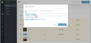 Shopify. How to add and remove tags as a bulk action2