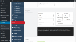 cherryframework_4._how_to_manage_footer_background_layout_settings_2