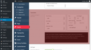 cherryframework_4._how_to_manage_footer_background_layout_settings_4