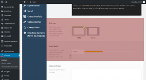 cherryframework_4._how_to_manage_footer_background_layout_settings_5