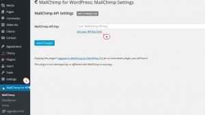 cherry4_how_to_setup_mailchimp_plugin6