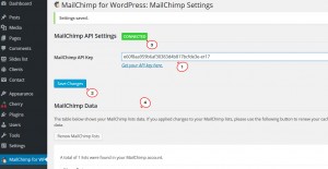 cherry4_how_to_setup_mailchimp_plugin9