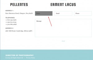 How to assign specific background for element on focus event5