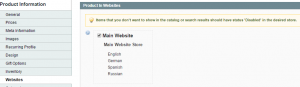 Magento_How_to_check_why_Product_is_not_displaying_on_the_site_4