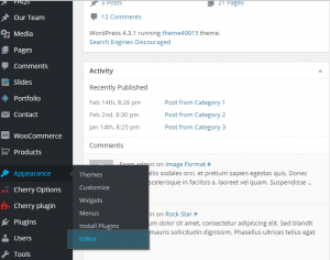 WordPress_How_to_exclude_category_from_displaying_on_Blog_page