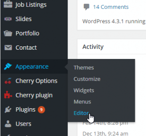 WordPress-How_to_remove_the_Theme_Editor_menu_from_the_Dashboard-1