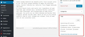 CherryFramework-3_How_to_display_tags_on_pages_not_only_posts_1