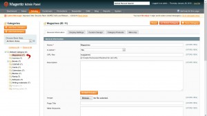 Magento._How_to_add_static_block_to_category_page-2