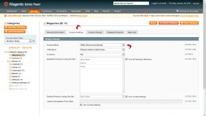 Magento._How_to_add_static_block_to_category_page-3