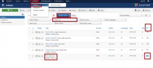 Joomla 3.x. How to check the article on the front-end.1